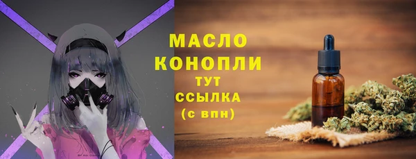 спайс Каменка