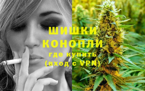 PSILOCYBIN Каменногорск