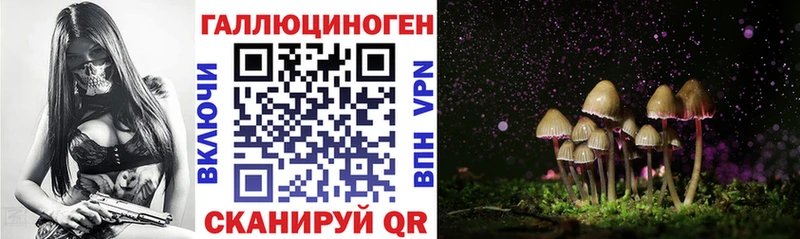 Галлюциногенные грибы GOLDEN TEACHER  Купить закладки  Дагестанские Огни 